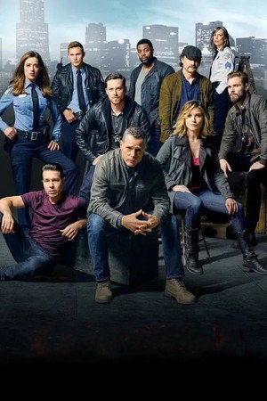 poster Chicago P.D.