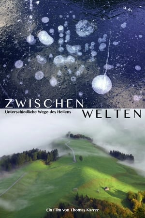 Poster Zwischenwelten - Unterschiedliche Wege des Heilens (2020)