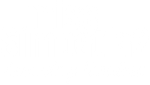 Miss Agente Especial 2: Armada y fabulosa — Logos 9