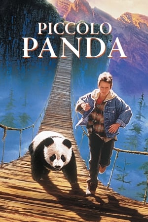 Poster Piccolo panda 1995