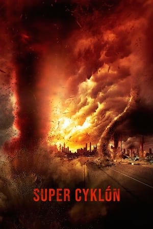 Poster Super cyklón 2011