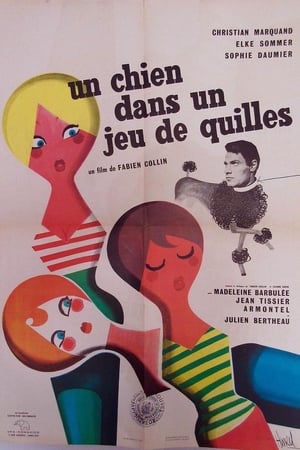 Poster Un chien dans un jeu de quilles (1962)