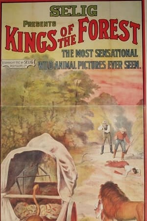 Poster Kings of the Forest 1912
