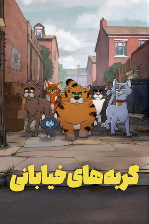 گربه های خیابانی
