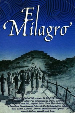 Poster El milagro 2003