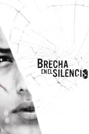 Image Brecha en el Silencio