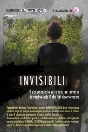 Poster di Invisibili