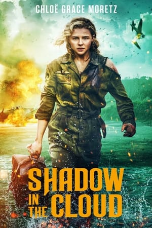 Poster di Shadow in the Cloud