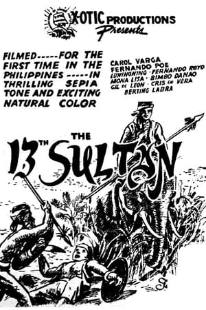 Poster The 13th Sultan (1949)