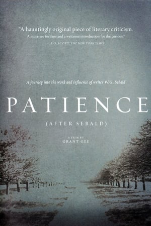 Image Patience (After Sebald)