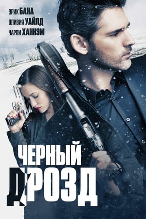 Poster Чёрный дрозд 2012