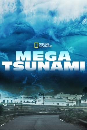 Affiche de The Next Mega Tsunami