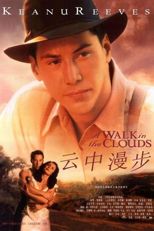 Poster 云中漫步 1995