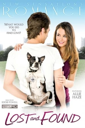 Poster Lost and Found (2011)