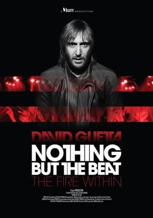 Poster Nothing But The Beat 2011