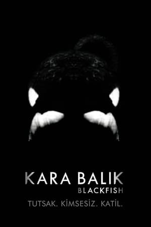 Image Kara Balık