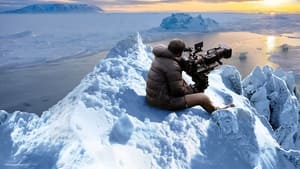 Osa polar: Cómo se hizo torrent