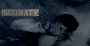Incubate