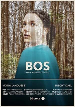 Poster Bos (2019)