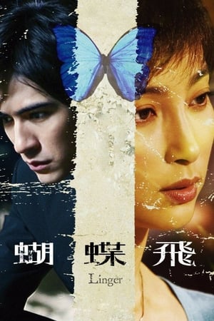 Poster 蝴蝶飞 2008