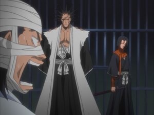 Bleach: 1×51