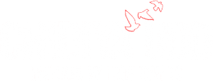 Chidiya Udd — Logos 1