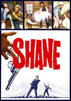 poster Shane
