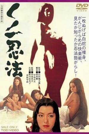 Poster くノ一忍法 1964