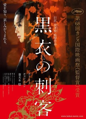 黒衣の刺客 (2015)