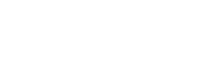 Magnífica 70 — Logos 2