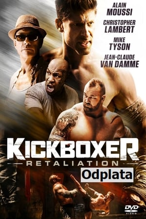 Image Kickboxer: Retaliation