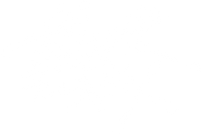 戴假发的人 — Logos 1