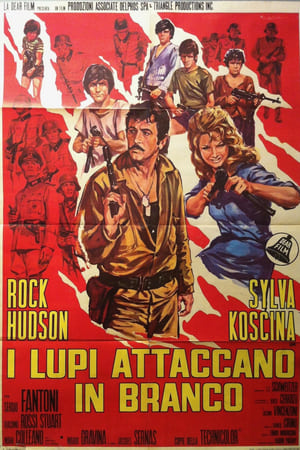 Poster I lupi attaccano in branco 1970