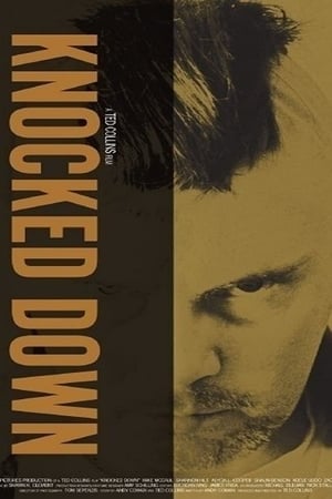 Poster Knocked Down (2008)