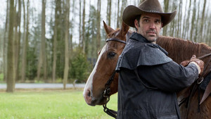 Common Ground | StreamHub