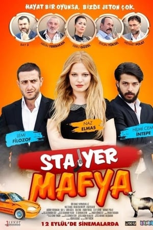 Poster Stajyer Mafya (2014)