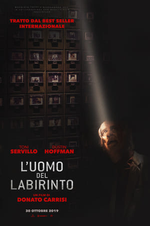 Poster L'uomo del labirinto 2019