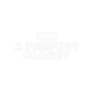 Um Planeta Perfeito — Logos 10