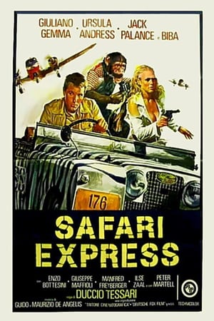 Poster Safari Express (1976)