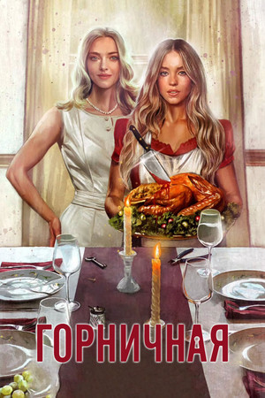 poster The Housemaid