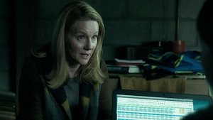 Ozark: 2×8