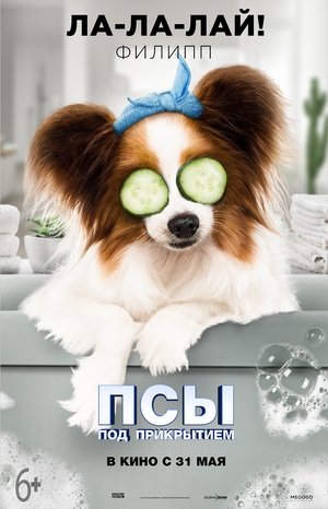 <Images posters