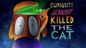 Image Curiosity Almost Killed The Cat