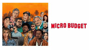 Micro Budget-2026