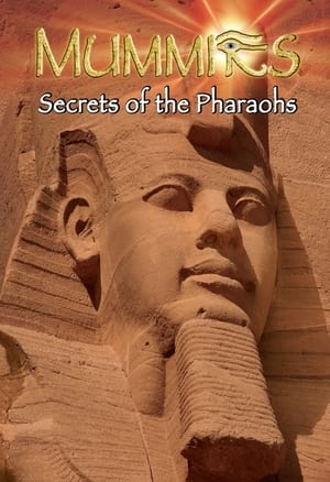 Image Egypte : Les secrets des momies