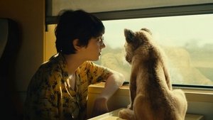 King: Mój przyjaciel lew cały film