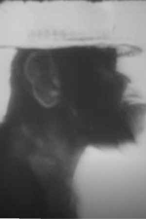 Nonton film Chimp's Jamboree (1970) terbaru sub indo Nonton film Chimp's Jamboree (1970) terbaru sub indo