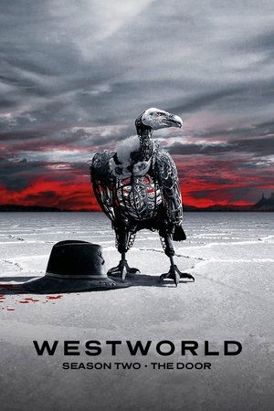 Westworld - Season Two: The Door