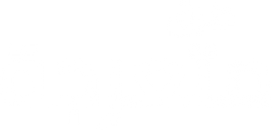The Runarounds — Logos 7