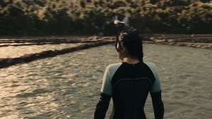 The Hunger Games: Catching Fire (2013)